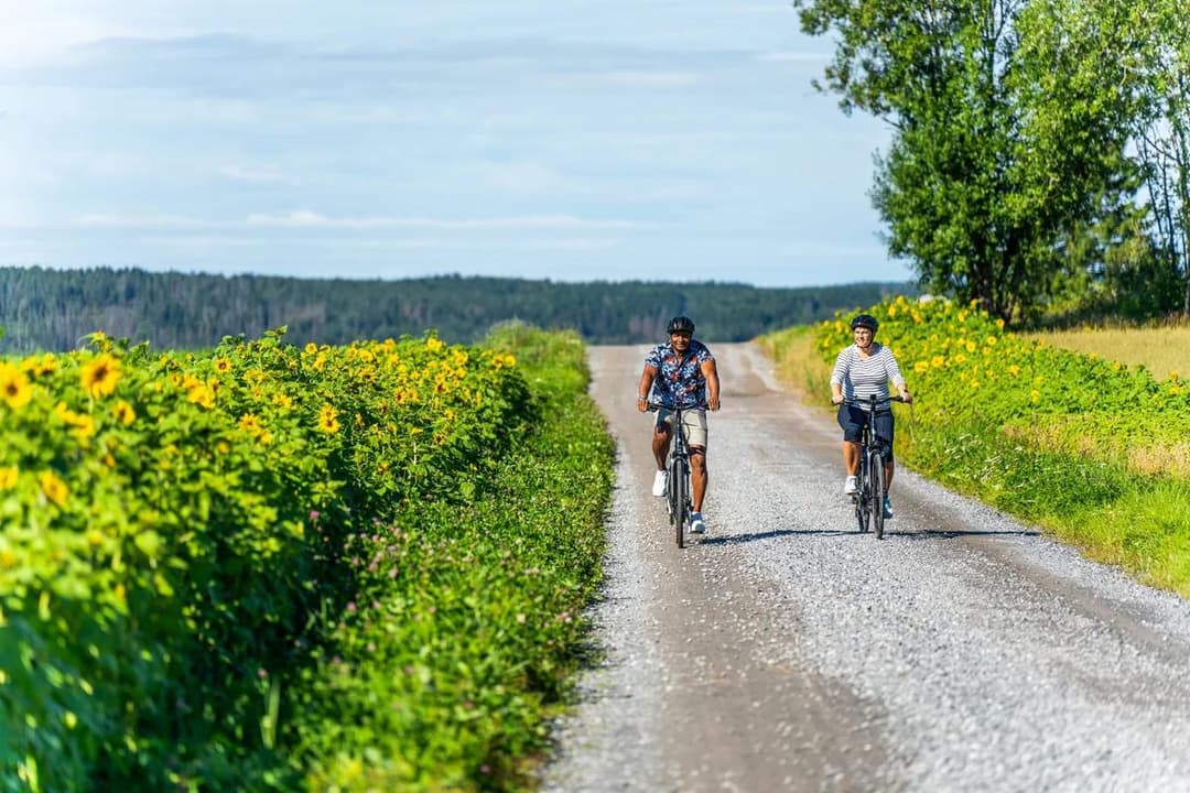 Den Gylne Linje, Indre Østfold